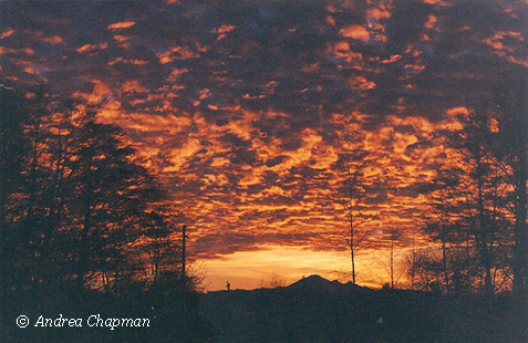 aldergrove sunrise